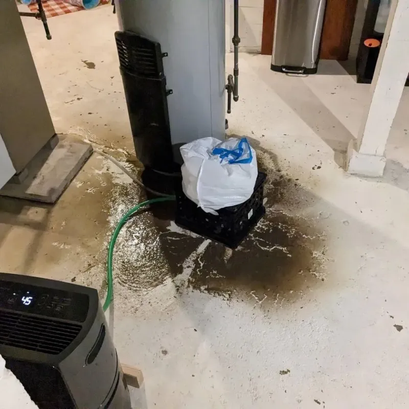 Sewage Backup Cleanup Service in Balch Springs, TX